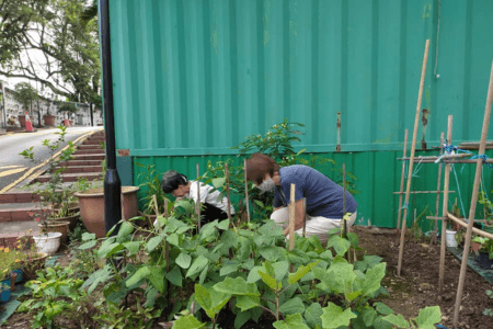 Untitled design (66)